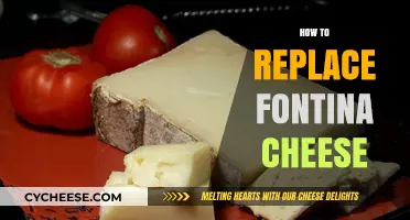 Perfect Substitutes for Fontina Cheese in Your Favorite Recipes