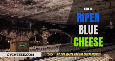 Blue Cheese Ripening: Tips for Perfect Flavor Development