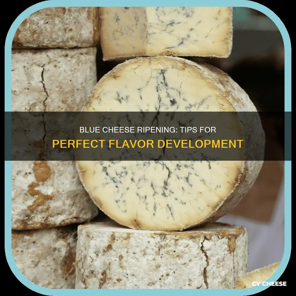 how to ripen blue cheese