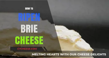 Mastering Brie Ripening: Tips for Perfectly Creamy Cheese at Home