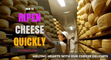 Quick Cheese Ripening: Accelerate Flavor Development in Days