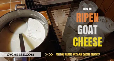 Mastering the Art of Ripening: Tips for Perfect Goat Cheese