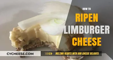 Mastering the Art of Ripening Limburger Cheese at Home