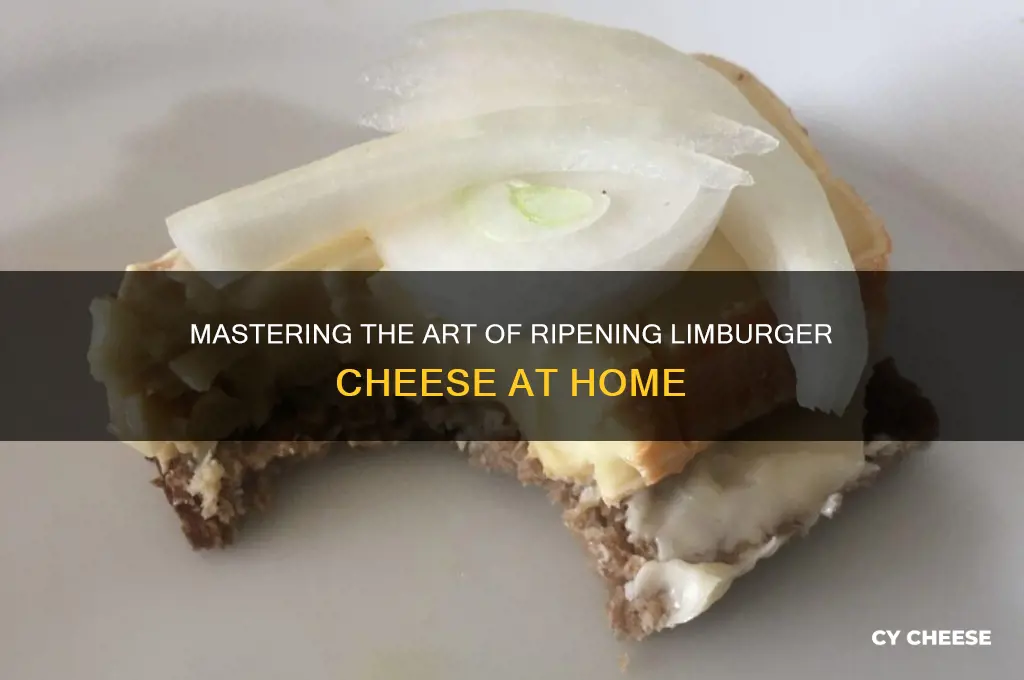 how to ripen limburger cheese