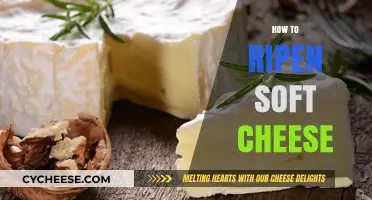 Mastering Soft Cheese Ripening: Techniques for Perfect Texture and Flavor