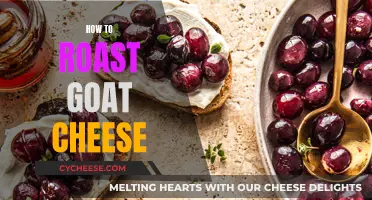 Roasting Goat Cheese: A Beginner's Guide to Perfection