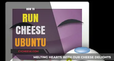 Mastering Ubuntu: A Step-by-Step Guide to Running Cheese Effortlessly