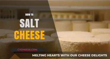 Mastering the Art of Salting Cheese: A Step-by-Step Guide
