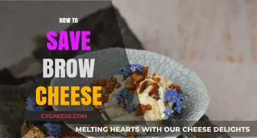 Creative Ways to Preserve and Save Your Brown Cheese Effectively