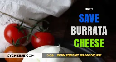 Preserving Burrata Cheese: Simple Tips for Freshness and Flavor