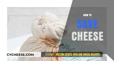 Mastering Cheese Storage: Tips to Keep Your Cheese Fresher Longer