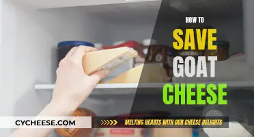 Goat Cheese Storage: Tips to Keep Your Cheese Fresh