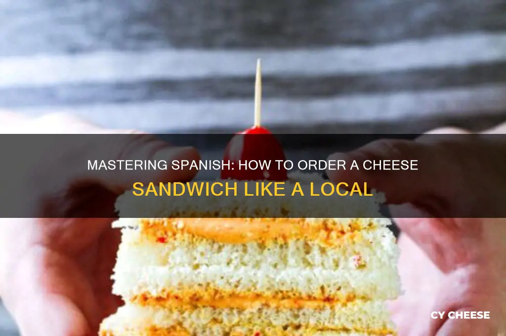 how to say a cheese snadiwich in spansih