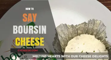 Mastering the Pronunciation of Boursin Cheese: A Quick Guide