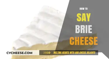Mastering the Pronunciation: How to Say Brie Cheese Like a Pro