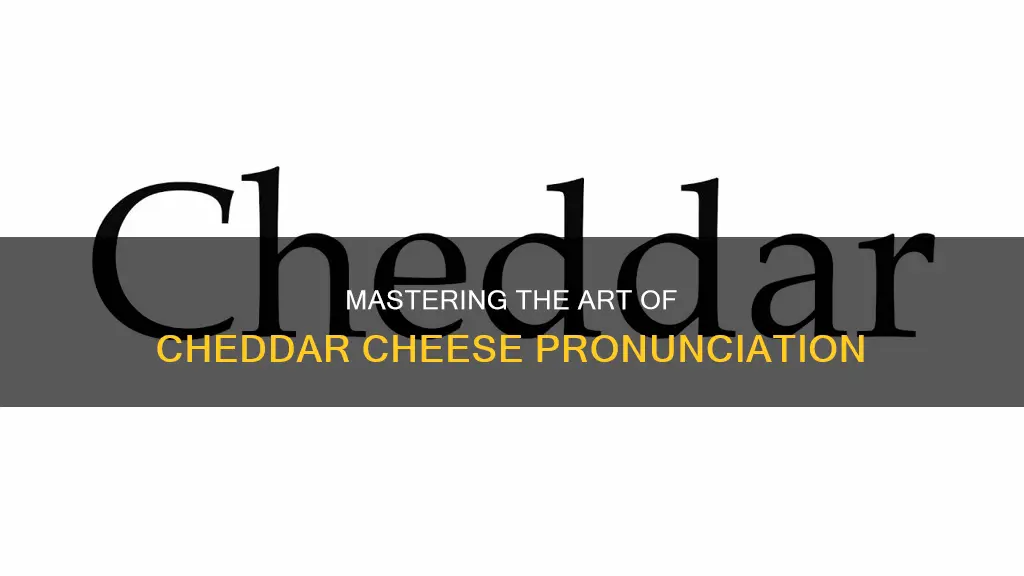 how to say cheddar cheese