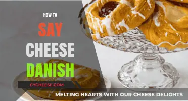 Mastering the Pronunciation of Cheese Danish: A Quick Language Guide