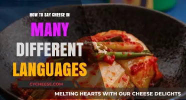 Smile Globally: Learn to Say 'Cheese' in Multiple Languages