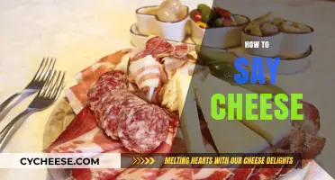 Mastering the Art of Saying Cheese: Tips for Perfect Pronunciation
