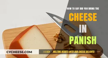 How to Ask 'Did You Bring the Cheese?' in Spanish Easily