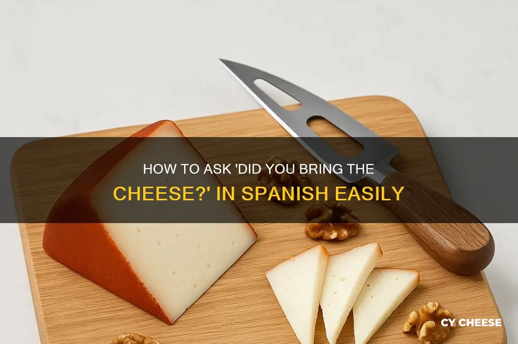 how to say did you bring the cheese in panish