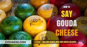 Mastering the Pronunciation: How to Say Gouda Cheese Like a Pro