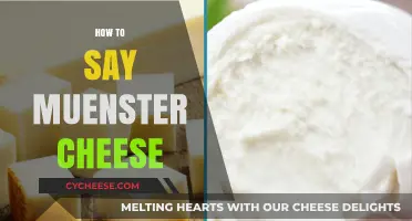 Mastering the Pronunciation: How to Say Muenster Cheese Correctly