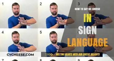 Mastering Sign Language: How to Politely Decline Cheese in ASL