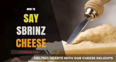 Mastering the Pronunciation of Sbrinz Cheese: A Swiss Delight Guide