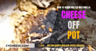 Scrubbing Mozzarella Messes: Easy Pot Cleaning Tips