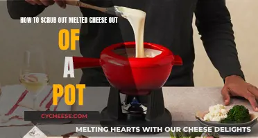 Scrubbing Melted Cheese: Easy Tips for Pots