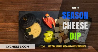 Mastering the Art of Seasoning Cheese Dip: Tips and Tricks