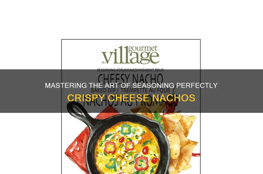 how to season cheese nachos