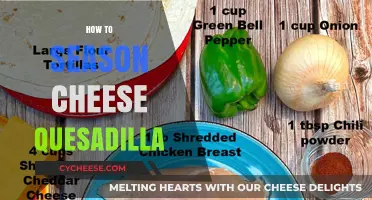 Mastering the Art of Seasoning a Perfect Cheese Quesadilla