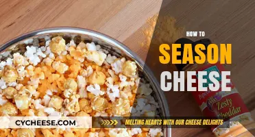 Mastering Cheese Seasoning: Tips for Perfect Flavor Enhancement