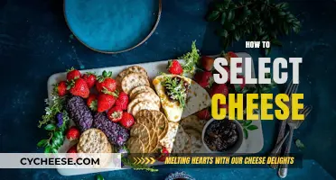 Mastering the Art of Cheese Selection: A Guide to Perfect Pairings