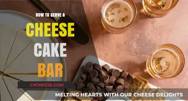 Cheese Cake Bar: A Tasty Guide to Success