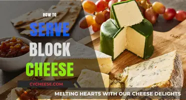 The Art of Serving Block Cheese