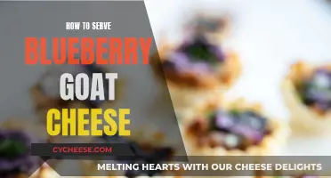 Blueberry Goat Cheese Delight: A Simple, Savory Snack