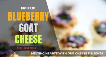 Blueberry Goat Cheese: The Perfect Summer Appetizer