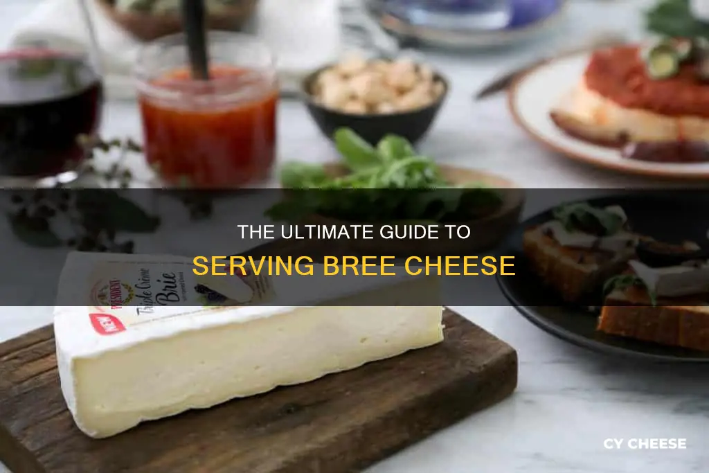 how to serve bree cheese