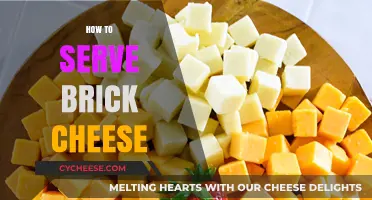 The Ultimate Guide to Serving Brick Cheese