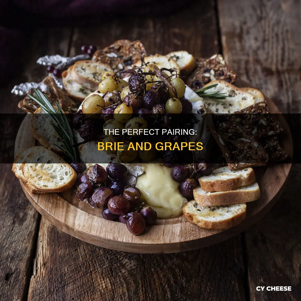 how to serve brie cheese with grapes