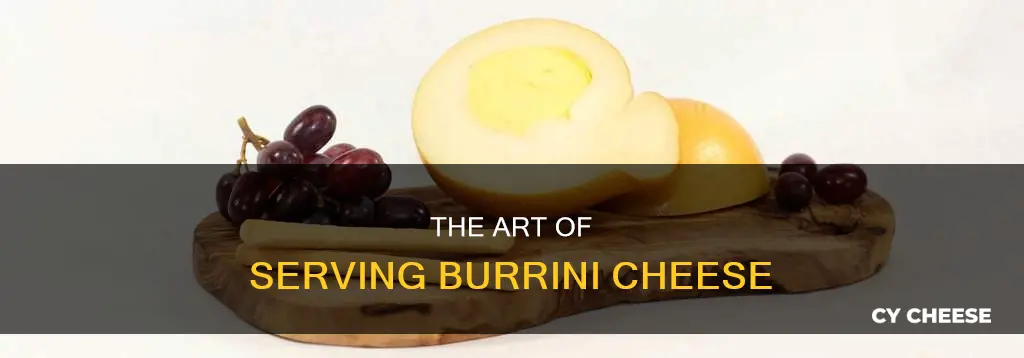 how to serve burrini cheese