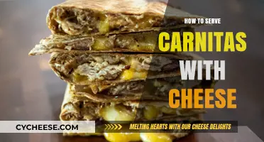 Carnitas and Cheese: A Perfect Pairing