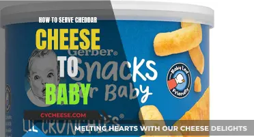 Introducing Cheddar to Little Tummies: A Guide to Baby's First Cheese