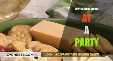 The Art of Serving Cheese at Your Next Party
