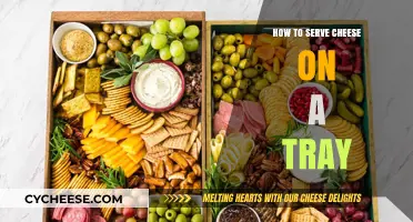 The Art of Presenting Cheeses on a Tray