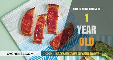 Introducing Cheese to Your Toddler's Diet