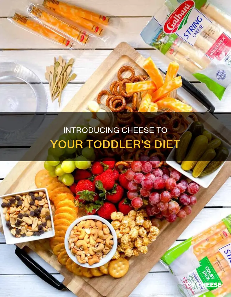 how to serve cheese to 1 year old